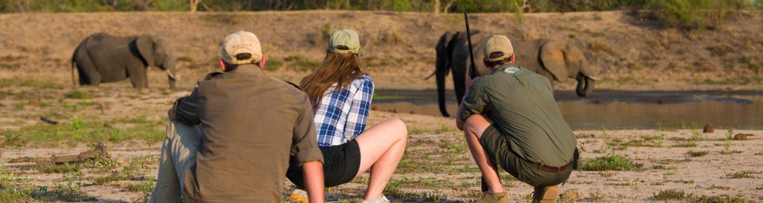 Guided walking safaris in greater kruger south africa