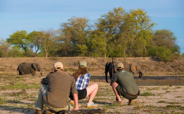 Guided walking safaris in greater kruger south africa