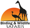 Birding and Wildlife Safari Travel Packages in South Africa